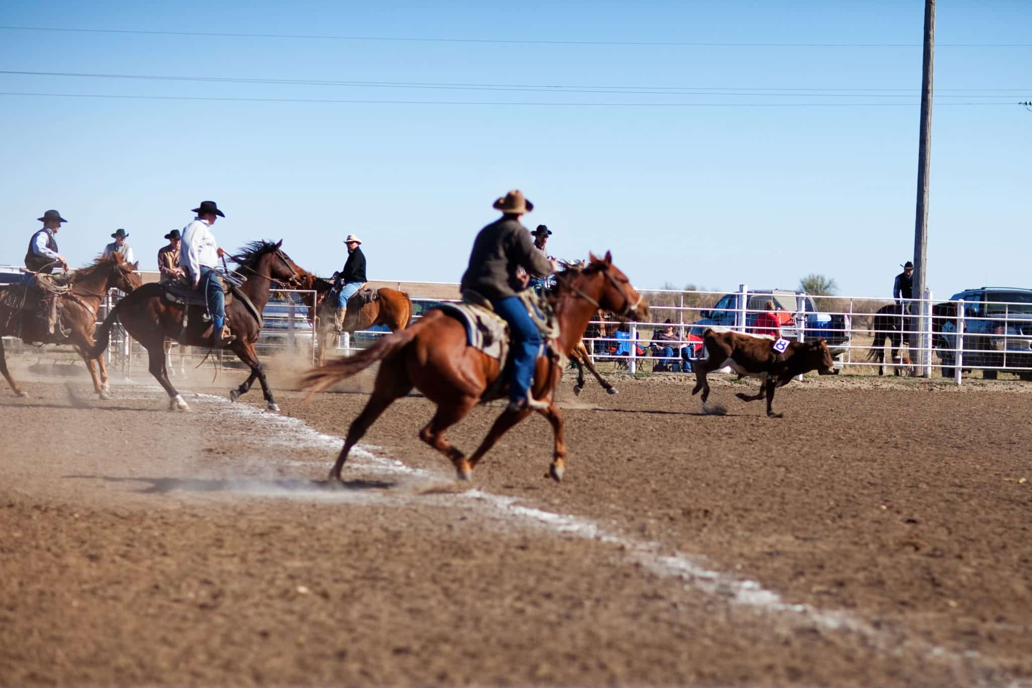 rodeo2